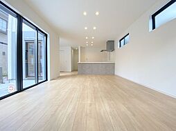 練馬区大泉学園町1丁目　新築戸建