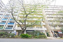 オリンピックマンション桜台第2 905