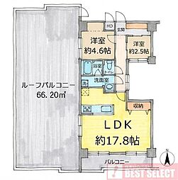 コスモ板橋蓮根