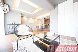 ザ・パークハウス文京護国寺 203