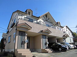 ステップコート・ツバキ １０２