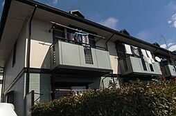 エバーグリーンA