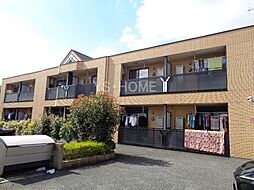 ウイングコート