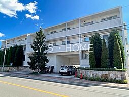 LANAI GRACE KUNITACHI