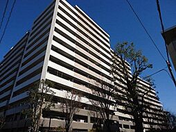 デライトシティ　ブレスコート