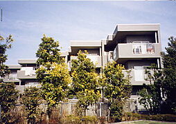 小金井市中町２丁目