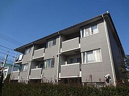 ブラウアー・フォーゲル