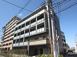 シルフィッド