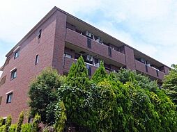 ヴァン・シャルマンOZ