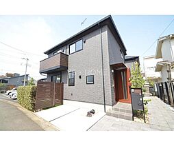 岩蓮華