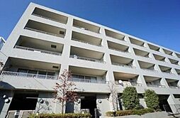 エコタワーバオバブ