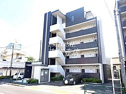 パインニードル