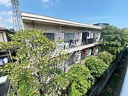 アイビーアレイ