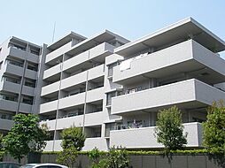 中野区新井３丁目