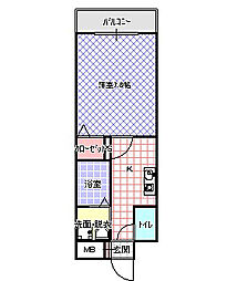 CASSIA住道