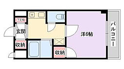 グレースカサブランカ