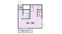 セシリア野崎