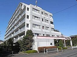 楽器演奏可能シャトー・レ・セルズィエール 210