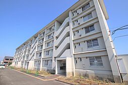 パレットプレース 105