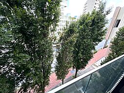 モデルノトッレ松濤