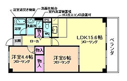 ライフイン水月 406