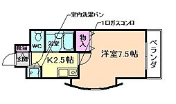 フォリアグランデ 309