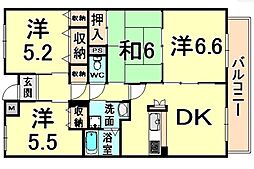 エスタブレ 203