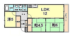 ティアラ武庫川 203