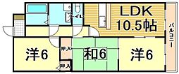 デイグラン シエル 505