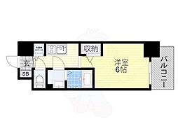 アドバンス天王寺南パキラ