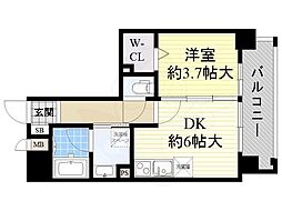 ケイグレース