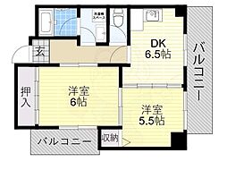 グレイスパイン