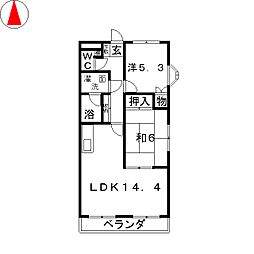 シャンパーニュ