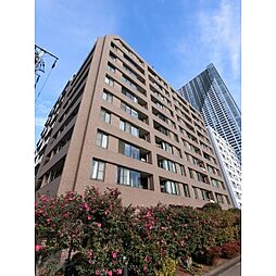 ルミネ東京ベイフロント 502
