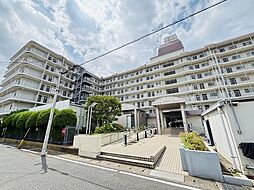 ドルミ春日部