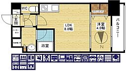 スプランディッドVII