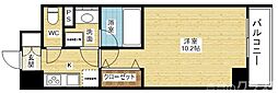 シェリール　ヒカリ