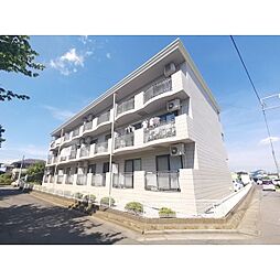 トップアスリートV 305