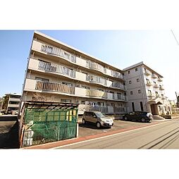 フラワーパーク佐藤 406