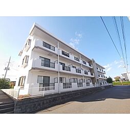 トップアスリートII 208