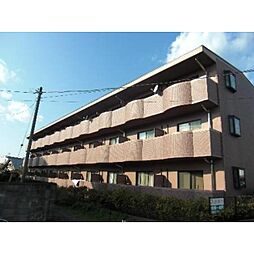ルミエール・フレア 112