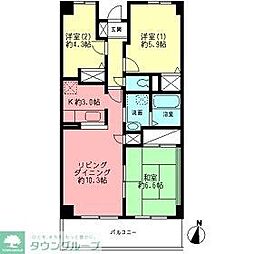 ポーロウニア千代田