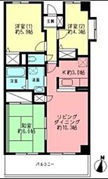 ポーロウニア千代田