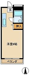 ルミニコスモス