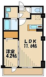ラシルフィード