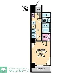 Ｃｏｕｒｔ Ｏｒｉｅｌ 203