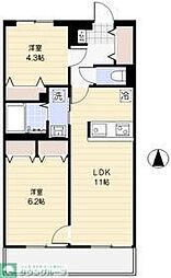 マーガレット 104