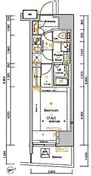 ＡＲＴＥＳＳＩＭＯ　ＡＬＤＯ 801