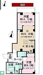 シャインピーチ 302