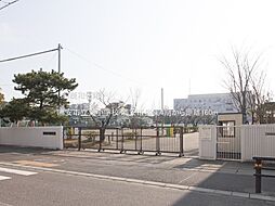 浦安市猫実1丁目　売地　1号地